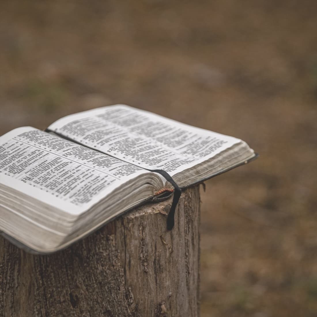 Una Bibbia aperta appoggiata all’aperto, le pagine mosse dal vento